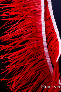 Oie guirlande - long. des plumes 13-19 cm - rouge